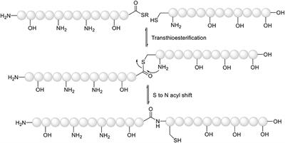 Solid-Phase Synthesis of Head to Side-Chain Tyr-Cyclodepsipeptides Through a Cyclative Cleavage From Fmoc-MeDbz/MeNbz-resins